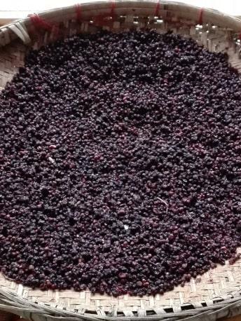 przeksztalcane_w_proszek - Mustela Poland - 1