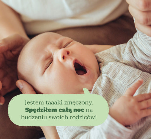 Sen i rodzice - Mustela Poland - 1