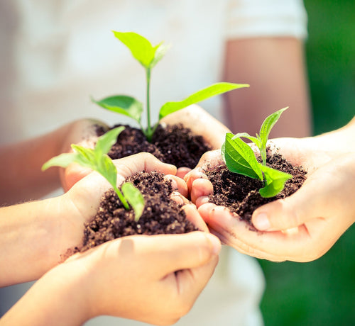 Biodegradowalność w praktyce - Mustela Poland - 1
