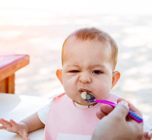 Niejadek  - Mustela Poland - 1