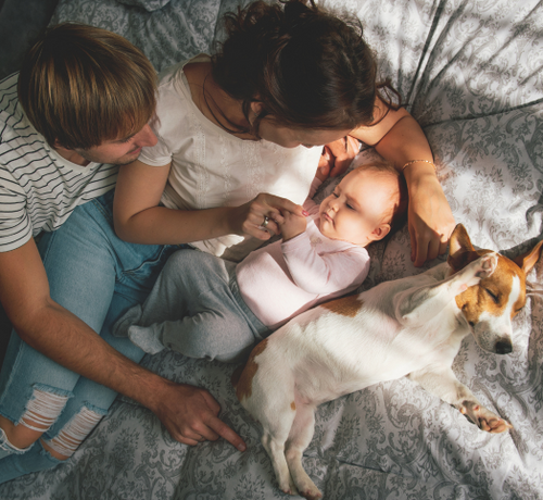 12 - Mustela Poland - 1