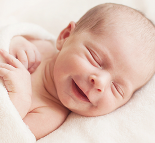 1366x301 - Mustela Poland - 1