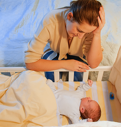 162386238_l2 - Mustela Poland - 1