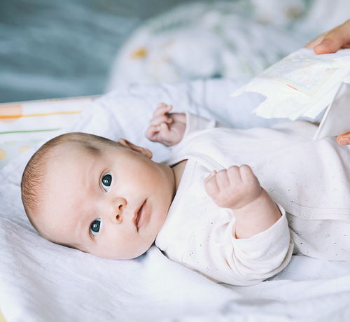 6 - Mustela Poland - 1