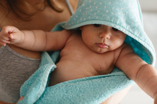AdobeStock_215881480 - Mustela Polska - 1