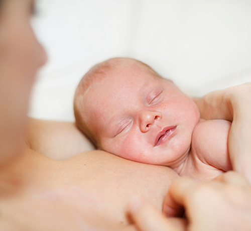 Duze_c6c11d7b-aca5-4e0a-bfed-8fec907552ae - Mustela Poland - 1