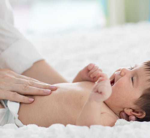 baner_duzy - Mustela Poland - 1