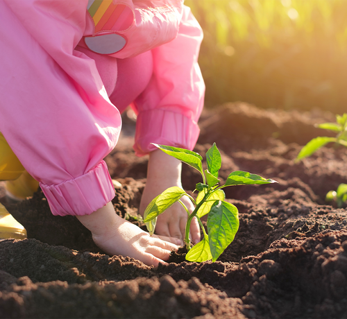 Jak rozmawiać z dziećmi o środowisku - Mustela Poland - 1