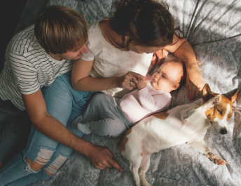 12_c037bc02-226b-464a-9d28-adc37a49c6be - Mustela Poland - 1