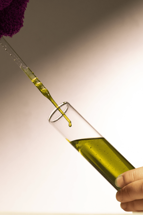 2024_STELATOPIA_-V2-CAMPAIGN_PHOTOS_INGREDIENTS_AVOCADO-OIL-min_e55a170e-a7d6-4844-9b7a-7e0921bebd00 - Mustela Polska - 1