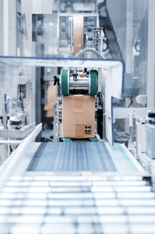A7404829_EPERNON_fev2024_credit_photo_Touann_Gatouillat_Vergos_a2e1c9b8-1029-4de0-8ec6-a9feba600ed2 - Mustela Polska - 1