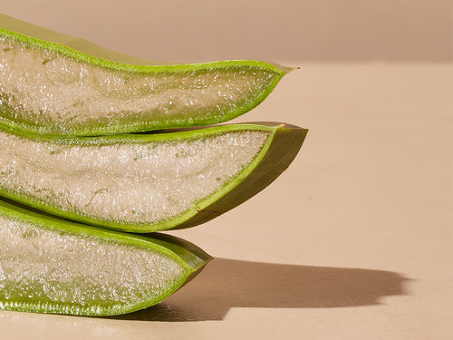 ALOE-VERA_3f997351-bfd0-4770-b1b8-0df7c39f0f8e - Mustela Polska - 1