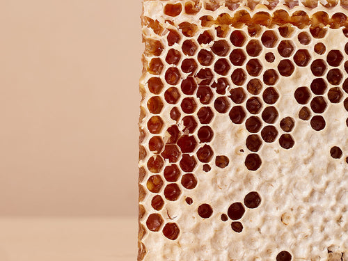 zdjęcie plastra miodu - skłądnik aktywny cold cream marki mustela - Mustela Poland - 4