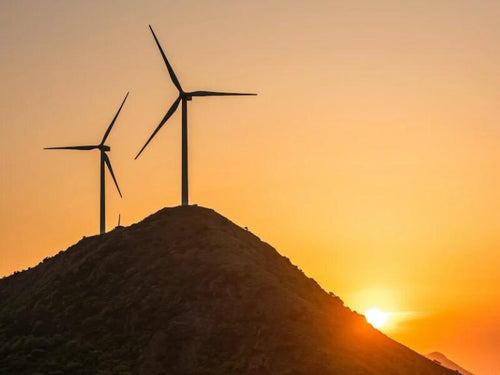 alim-nrj-verte-800x600-min - Mustela Poland - 1