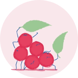 ikonka_schizandra - Mustela Poland - 1