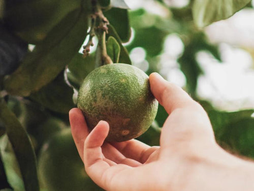 sourcing-durable-min - Mustela Poland - 1