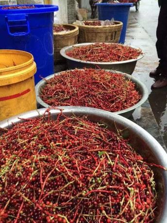 suszenie_w_sloncu - Mustela Poland - 1