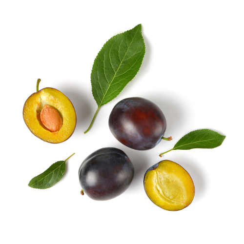 Plum_oil