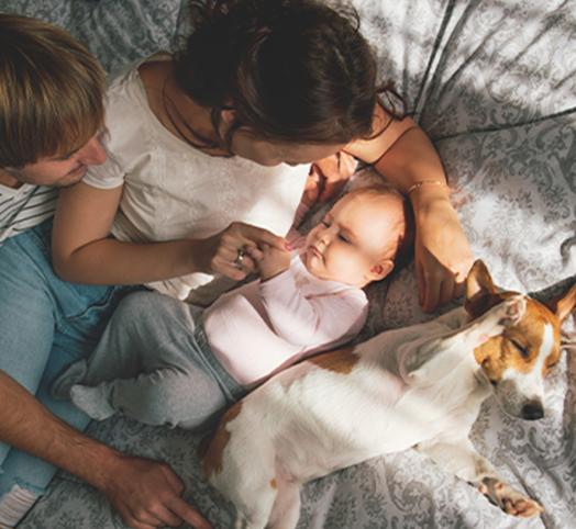 Jak przygotować psa na narodziny dziecka? 